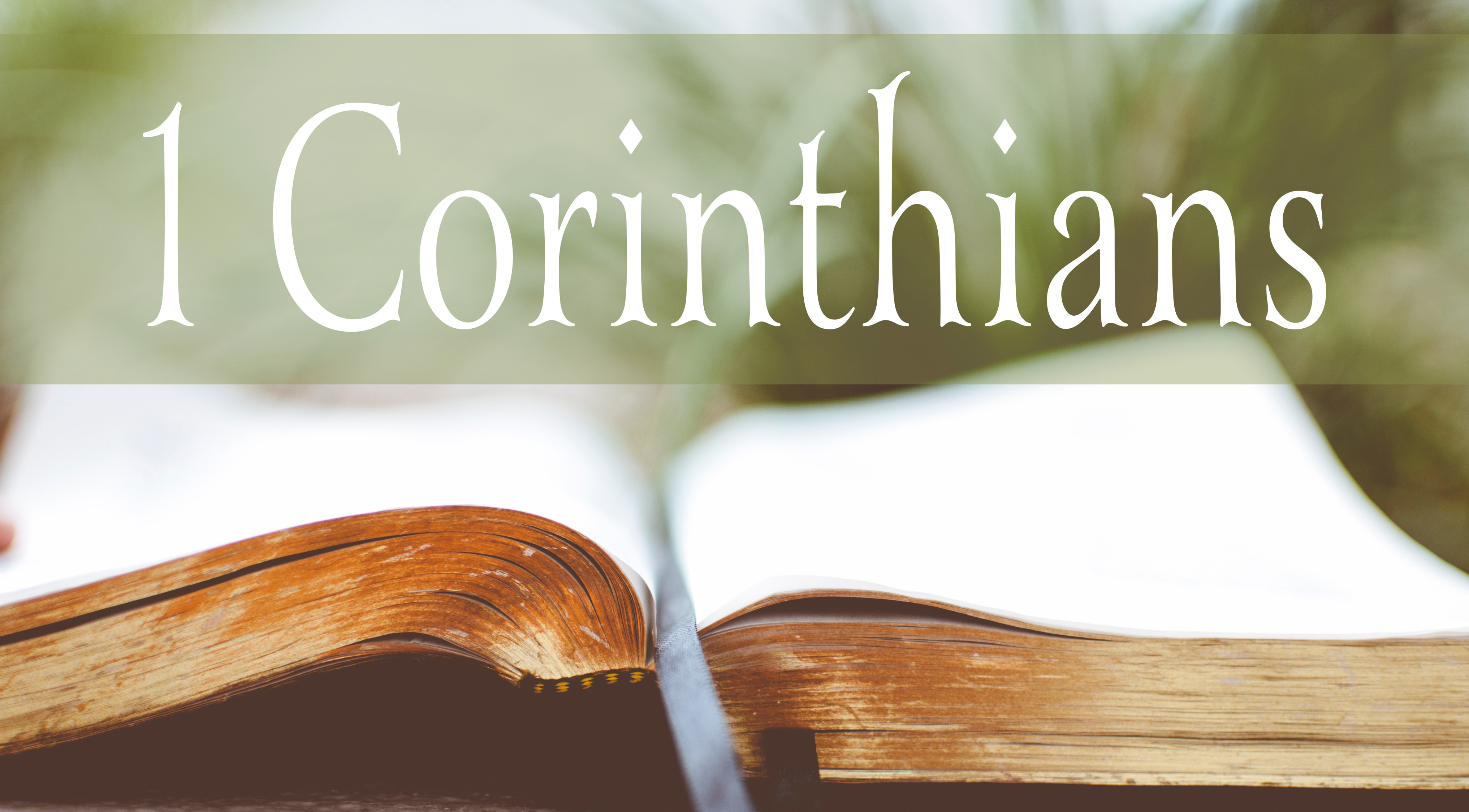 1 Corinthians | Free Nude Porn Photos